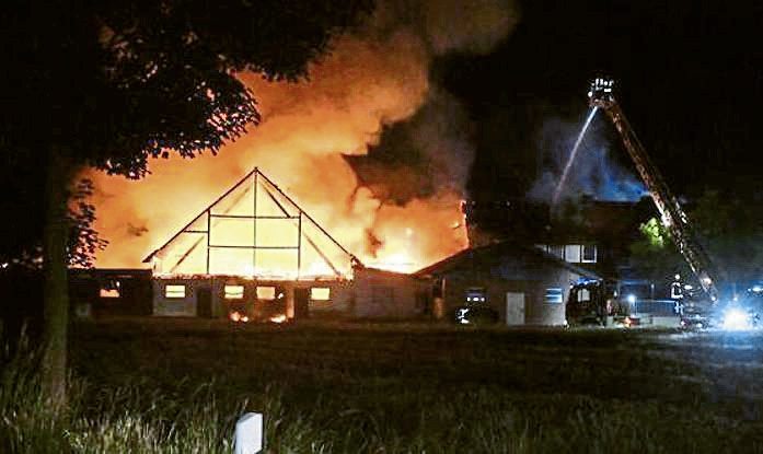 400 Schweine bei Brand verendet