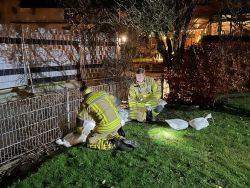 25. Dezember. Kreis Paderborn.