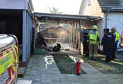 11. Januar. Delbrück Schöning.