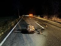 2. Februar. Bad Wünnenberg.